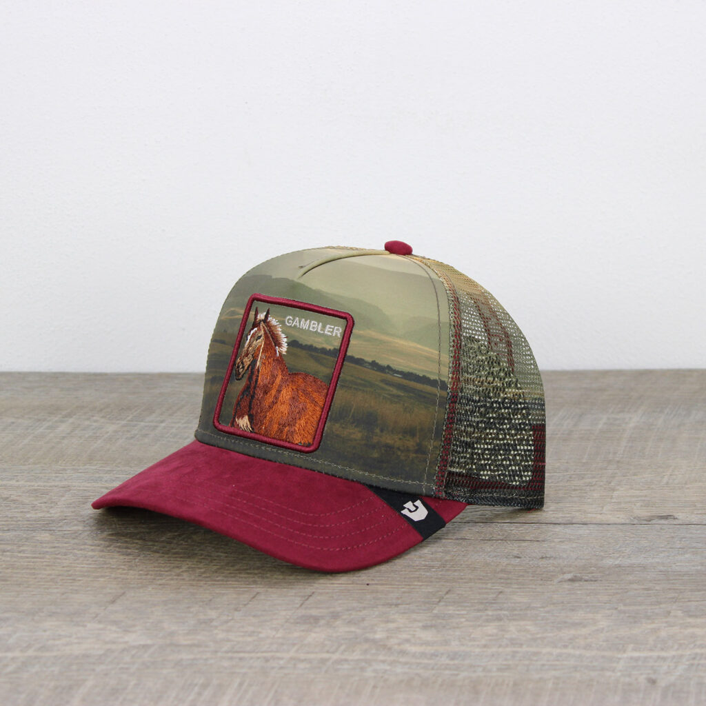 Cappello stallion in the element