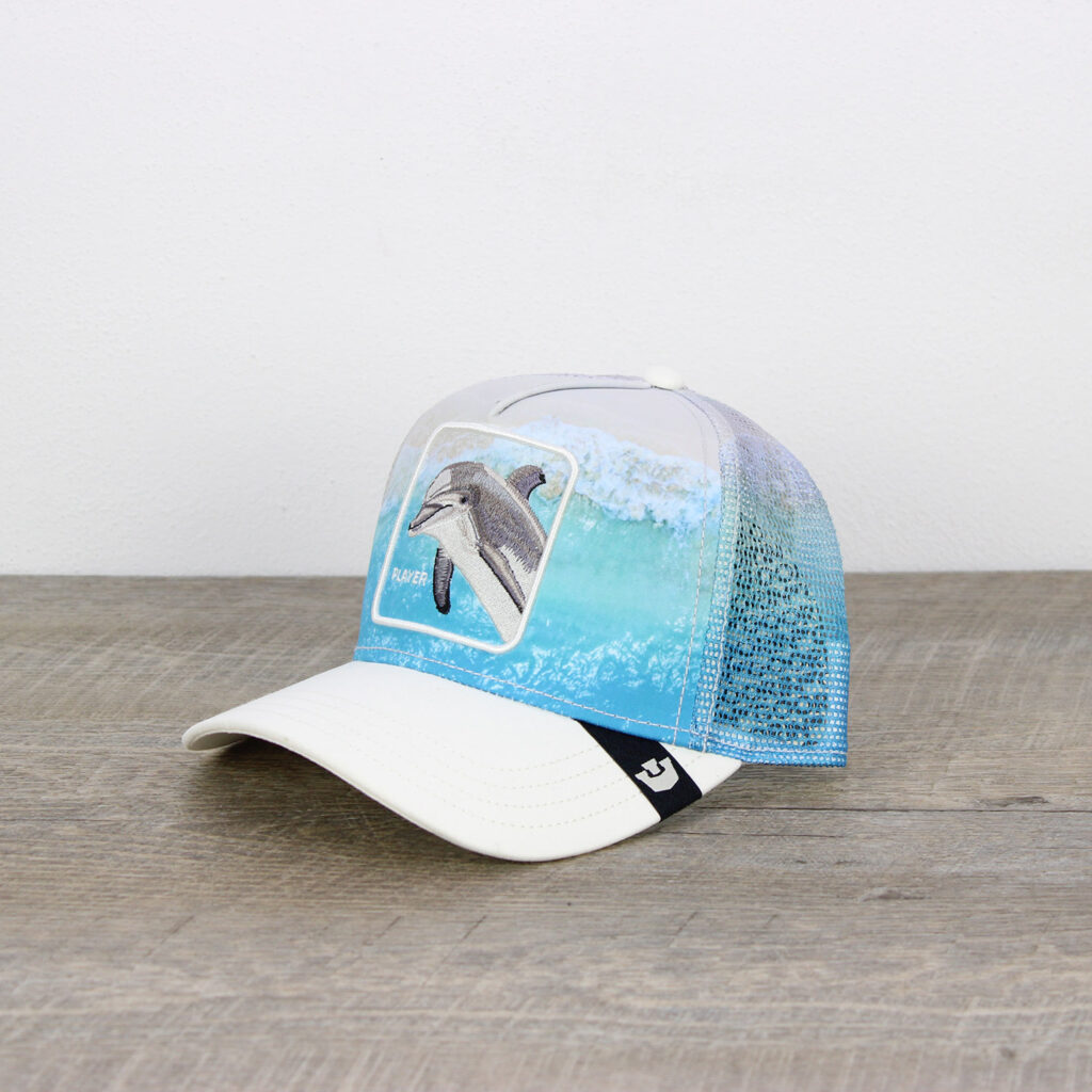 Cappello dolphin in the element